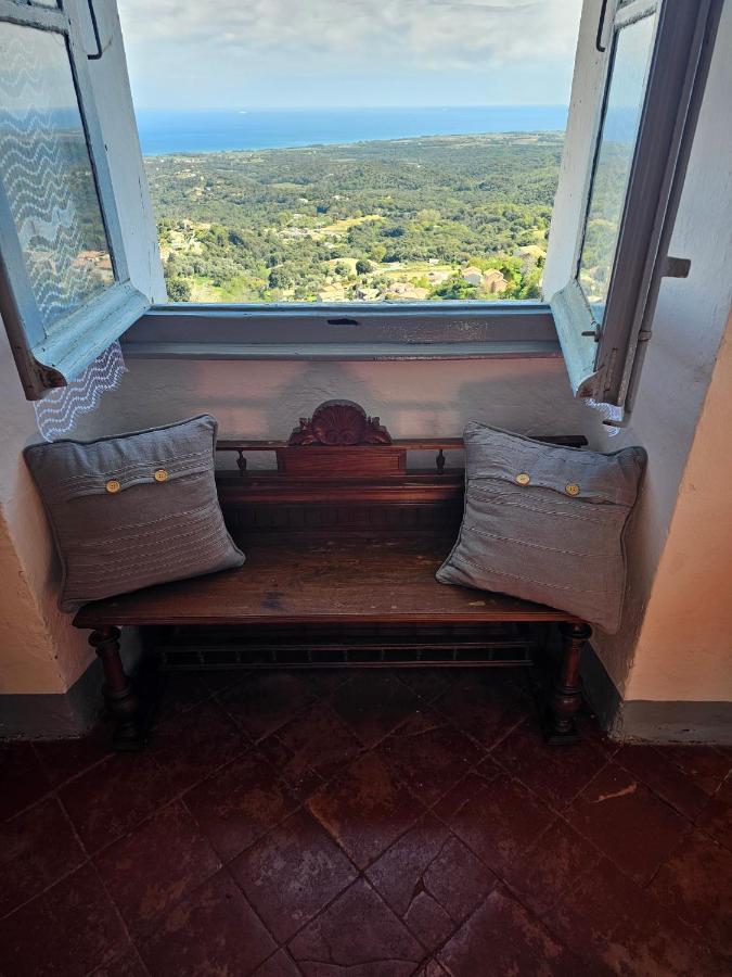 Palazzu Massoni, Magnifique Vue Sur La Mer Et La Montagne, Clim, Wifi, Parking Gratuit Cervione Exterior foto