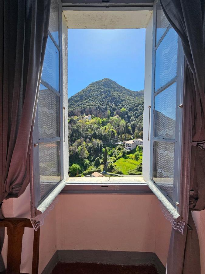 Palazzu Massoni, Magnifique Vue Sur La Mer Et La Montagne, Clim, Wifi, Parking Gratuit Cervione Exterior foto